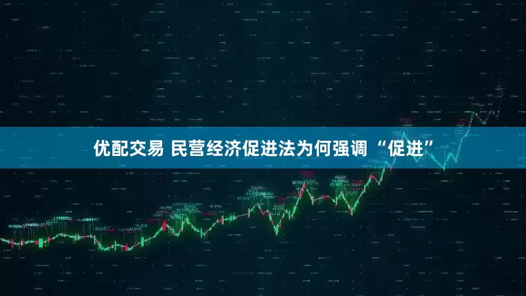 优配交易 民营经济促进法为何强调 “促进”
